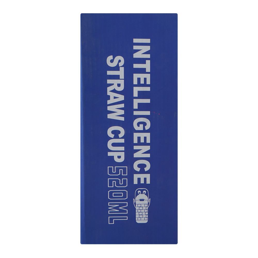 Warq Notes Intelligence Straw Water Bottle, Brown, 520ml