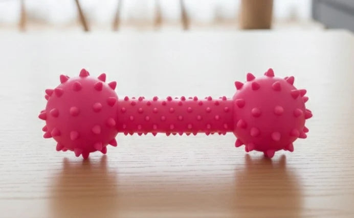 Spike Dumbell for Puppies And Dogs