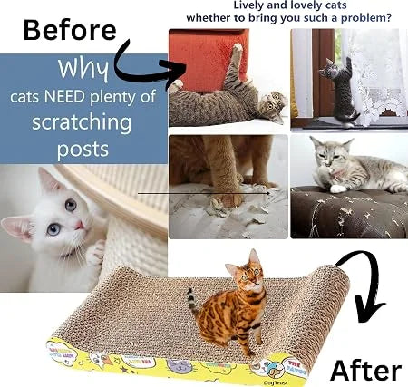 Scratching Board For Cats