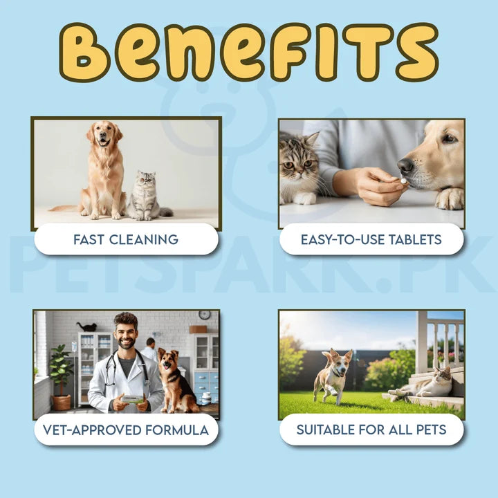 Caniverm Deworming Tablets for Cats &amp; Dogs (01 Tablet)