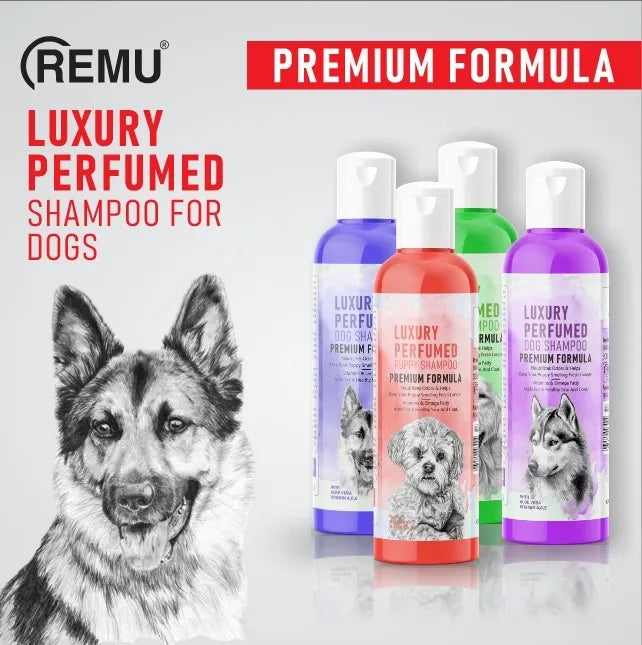 Remu Luxury Perfumed Dog Shampoo – 320 ML