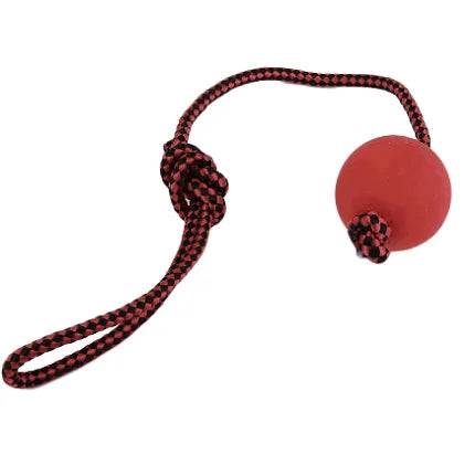 Rope Red Playing Ball For Dogs