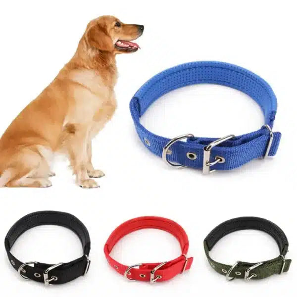 Dog Soft Collar with Buckle