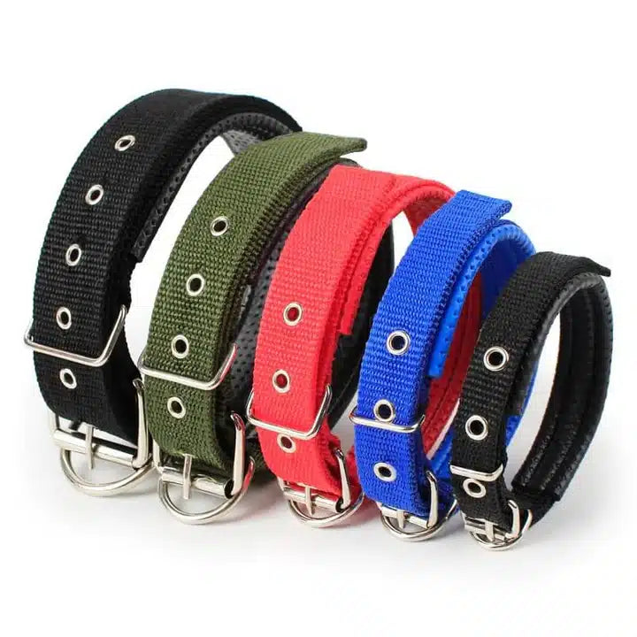 Dog Soft Collar with Buckle